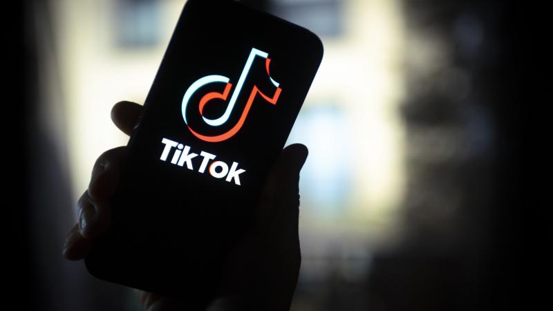 170 millió amerikai TikTok-felhasználó számára hirtelen véget ért a közösségi élmény: Trump talán a megoldás kulcsa!